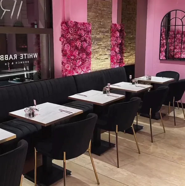 White Rabbit - Brunch & Co Cafe Projesi