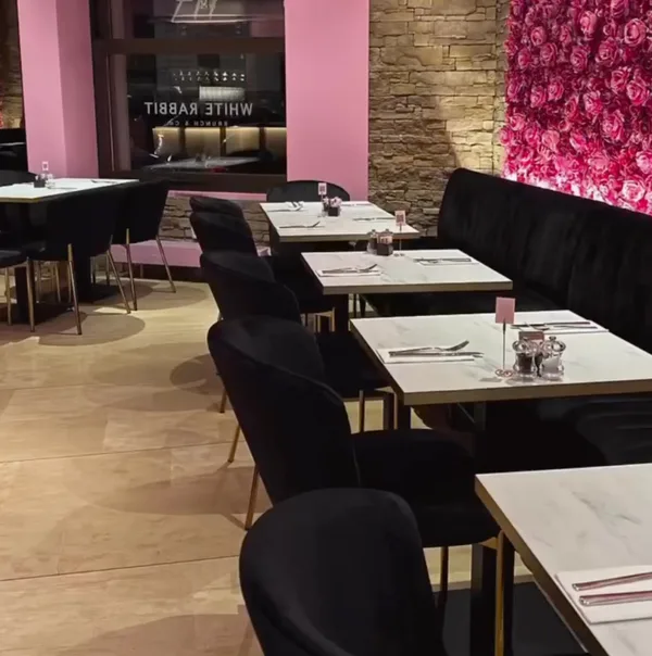 White Rabbit - Brunch & Co Cafe Projesi